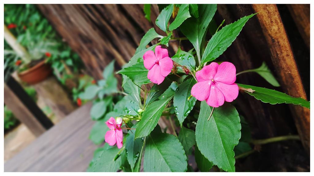 Kitnet E Suite Morada Aguiar - Chale Vila do Abraao ภายนอก รูปภาพ
