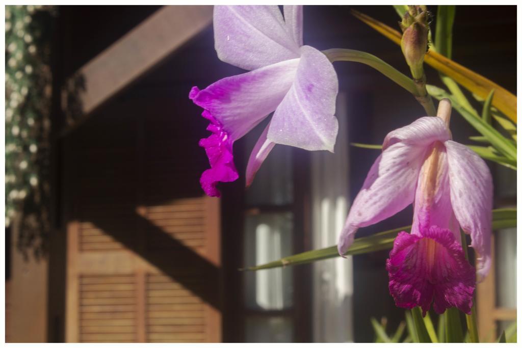 Kitnet E Suite Morada Aguiar - Chale Vila do Abraao ภายนอก รูปภาพ