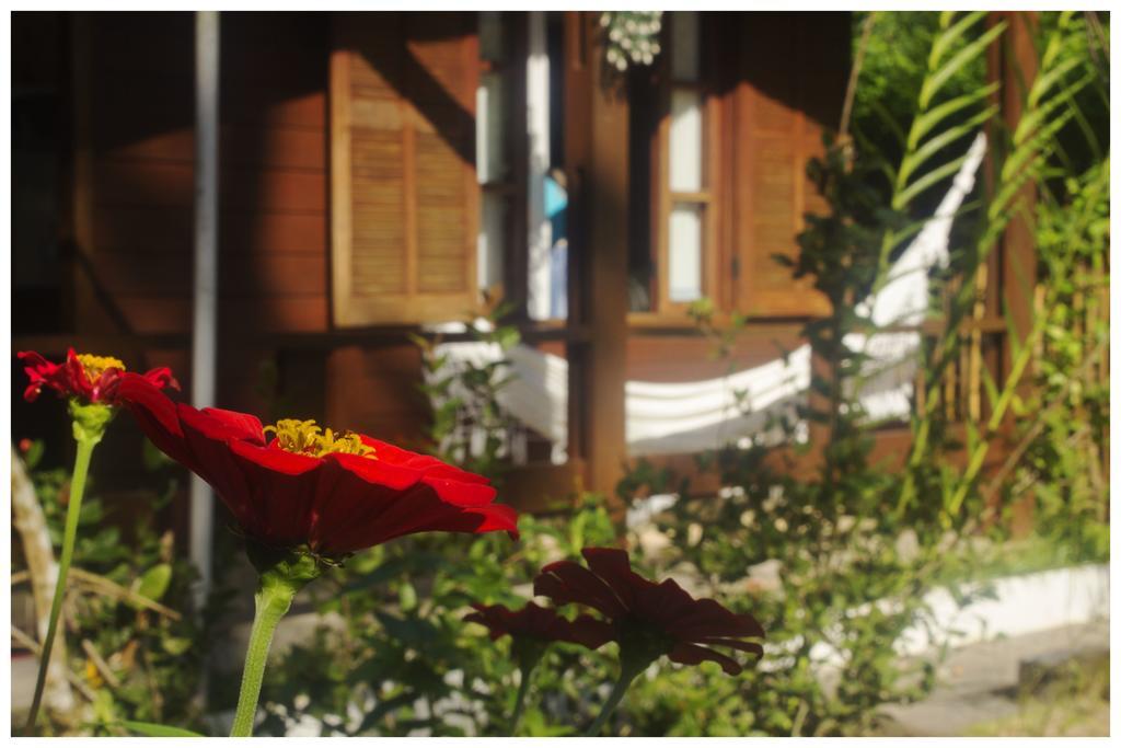 Kitnet E Suite Morada Aguiar - Chale Vila do Abraao ภายนอก รูปภาพ